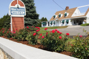 Blue Spruce Motel & Townhouses